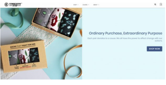 盘点：16个销售额高达百万的时尚独立站品牌，道出了这些行业秘密