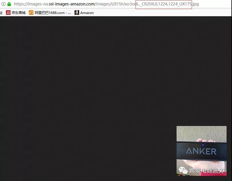 【干貨】如何下載亞馬遜Review中的圖片和視頻？