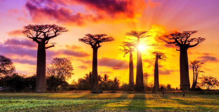 盘点：除了Jumia ，非洲还有这些实力不俗的本土电商平台