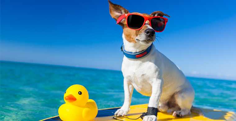 夏季选品：水上运动有什么产品值得卖家关注和预备？