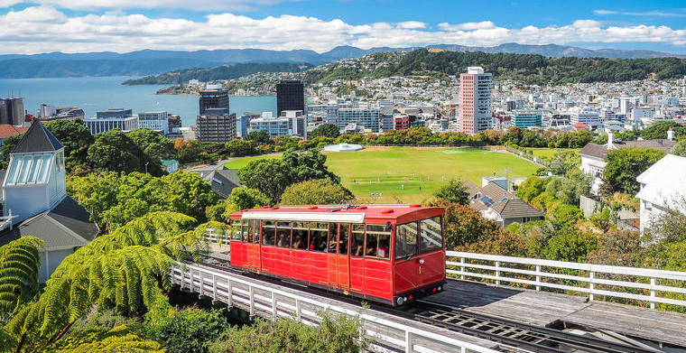 新西兰的本地网站越发成熟，比海外电商平台更受欢迎？