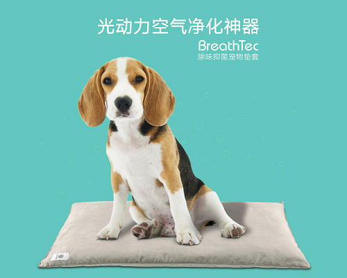 CCEE选品大会：欧美市场的主力军，宠物用品时代的来临！