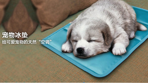 CCEE选品大会：欧美市场的主力军，宠物用品时代的来临！