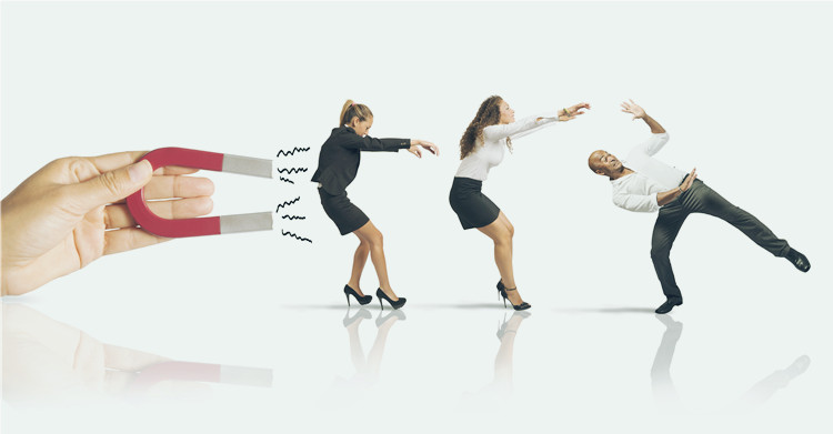 海鸥派携手500+跨境大卖,打造符合跨境电商需求的优质物流圈