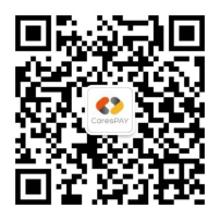 独立站收款 ，国内通道资金不限量？