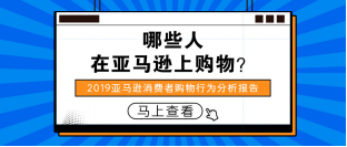 ​哪些人在亚马逊上购物？——2019亚马逊消费者购物行为分析报告