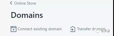 Shopify logo如何设置？Shopify域名&店铺logo设置教程