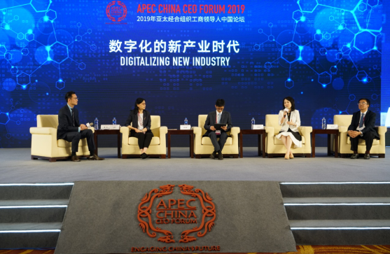 王树彤APEC发声：中小企业全球价值链联盟赋能中小企业卖全球