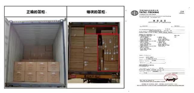 蓝海品类家居和园艺中，最蓝的海域在哪里？