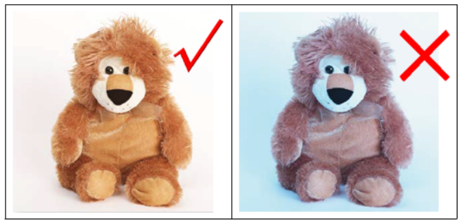 eBay产品图片有什么要求？eBay图片政策须知