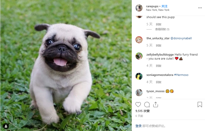 那些坐拥百万粉丝的Instagram账户发布的内容都长啥样？