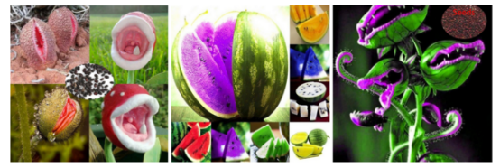 【整理】Wish“虚假广告”常见问题解答