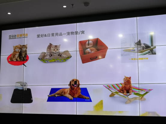 选品指南：盘点亚马逊日本站热销的8款宠物用品