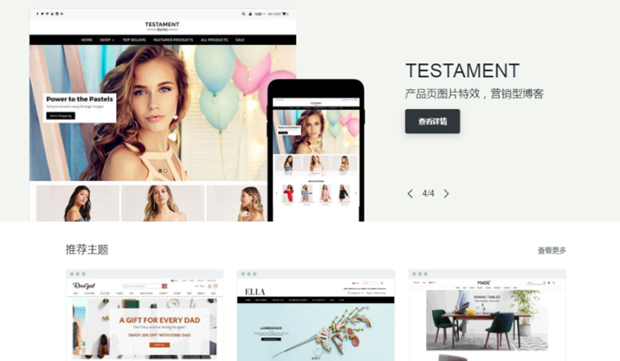 只买对的：独立站 + Facebook旗舰店每天5块钱