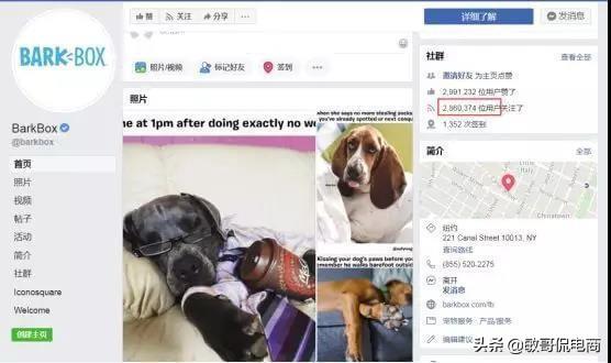 宠物品牌中的订阅电商：BarkBox如何做到年营收过亿美金？