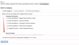 eBay刊登有哪几项特殊费用促销方式可选？