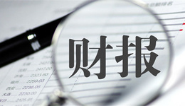 跨境大卖泽宝2019上半年卖了10个亿，利润4900万元