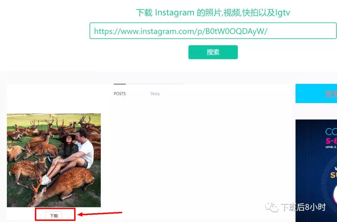 Instagram图片和视频如何下载？推荐常用的10款免费工具