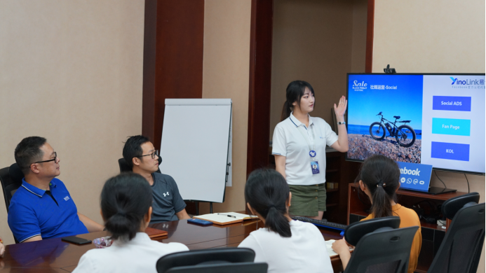 三个月销量翻四倍：YinoLink助力打造豪凌电动车出海传奇