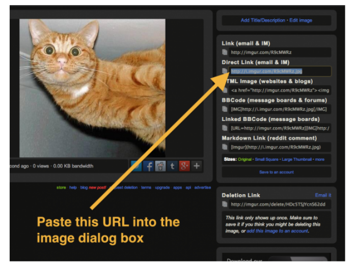 【干货收藏】沃尔玛上传Listing须知