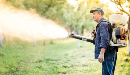 亚马逊受限商品：杀虫剂和杀虫剂设备准售及禁售须知