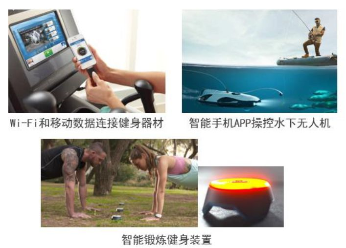 eBay選品指南：挖掘Sporting Goods中的爆款