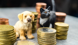 PaytmMoney獲其母公司One97Communications4億盧比融資