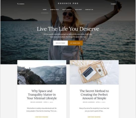 BigCommerce主题与框架选择教程