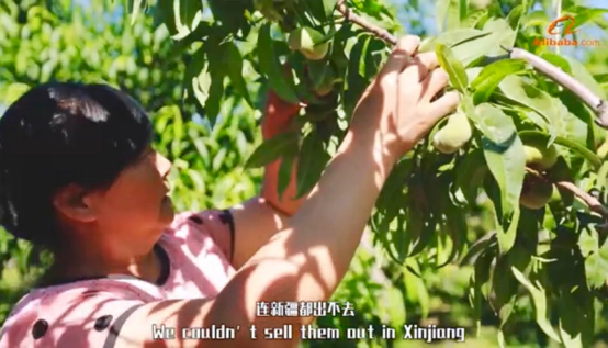 到边疆去脱贫攻坚，阿里帮500吨新疆水果远销25国