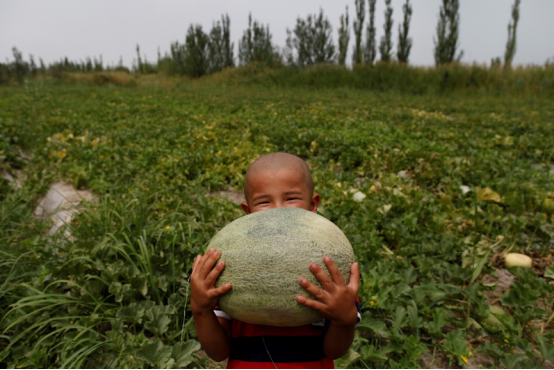 到边疆去脱贫攻坚，阿里帮500吨新疆水果远销25国