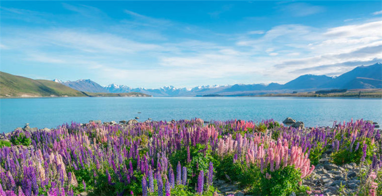 新西兰电商市场：偏爱本土电商和信用卡支付