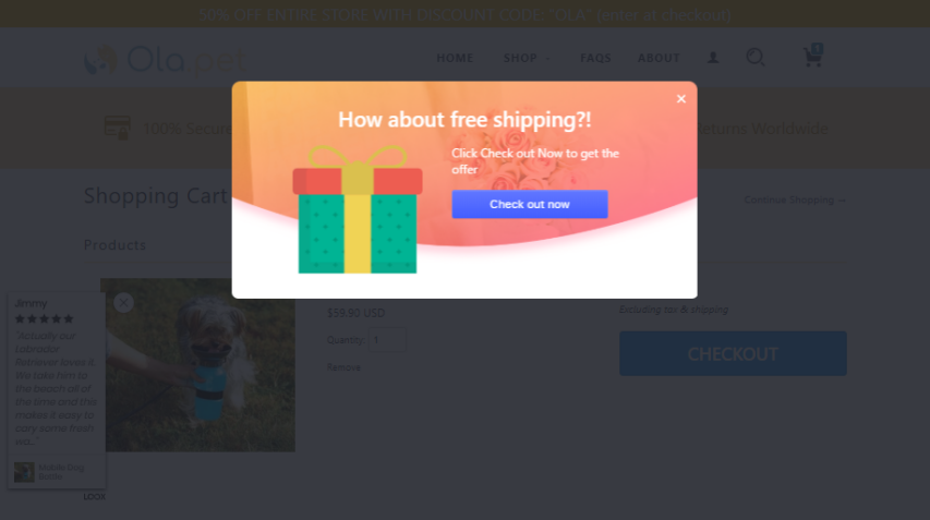 8位Shopify卖家成功经验分享，从0突破1万美元得具备什么运营能力？