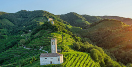 联系我们（维多卡起泡酒）