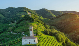 联系我们（维多卡起泡酒）