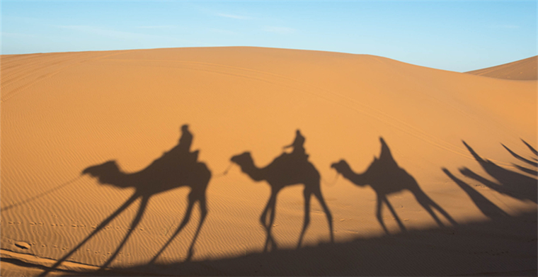 沙漠里的天猫双11：中国考拉拯救以色列工厂