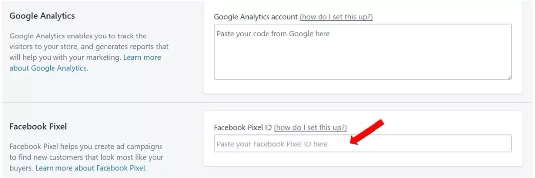 如何把Facebook Pixel加上到Shopify及5个广告宣传优化技巧插图(8)