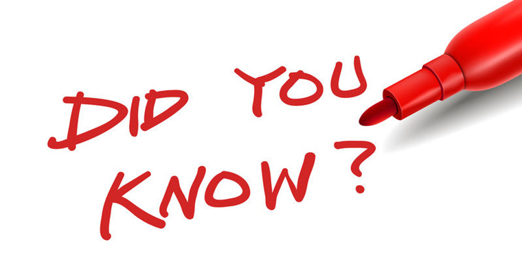 Zalando入驻须知：卖家资格、品类限制及入驻流程