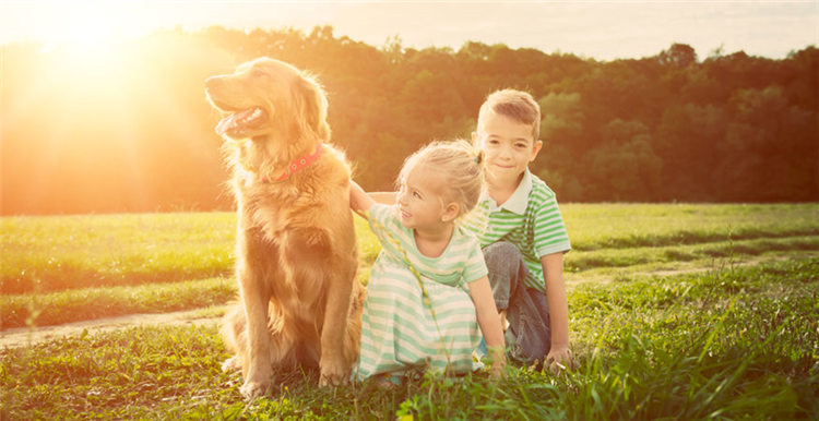 亚马逊要出黑科技，和汪星人对话不是梦？