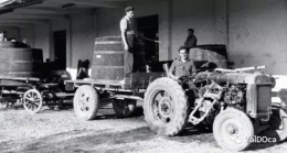 葡萄树和Uvaggio Storico气泡酒的历史故事