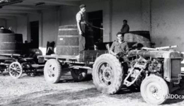 葡萄树和Uvaggio Storico气泡酒的历史故事