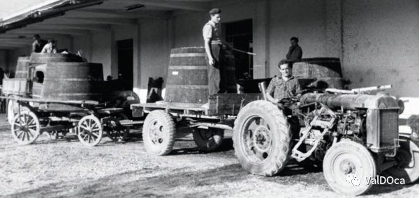 葡萄树和Uvaggio Storico气泡酒的历史故事