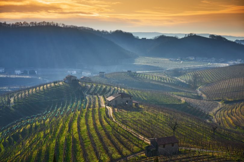 墙裂推荐！女生最爱喝的蓝朋友小甜酒