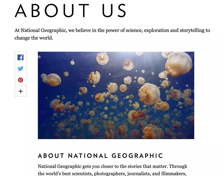 外贸独立站网页精彩范例："关于我们"怎样设计才能更出彩？