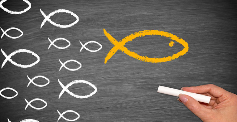 跨境电商平台新手如何选择，5大跨境平台对比总有一个适合你