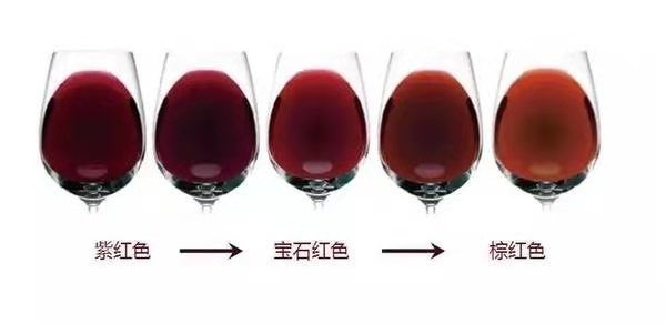 论起泡酒的品鉴