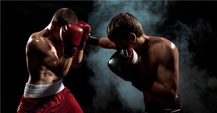 双11成东南亚电商平台练兵场，未来市场格局：强者愈强