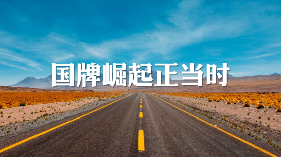 ​情趣用品卖家到底该不该做独立站，怎么做？