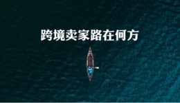 ?情趣用品賣家到底該不該做獨(dú)立站，怎么做？