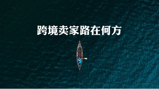 情趣用品卖家到底该不该做独立站,怎么做?