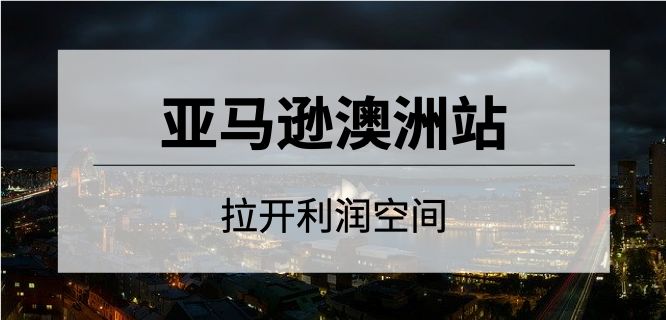 新商机|亚马逊新站点利润这么高？！赶上下一个风口就是个翻盘的机会！